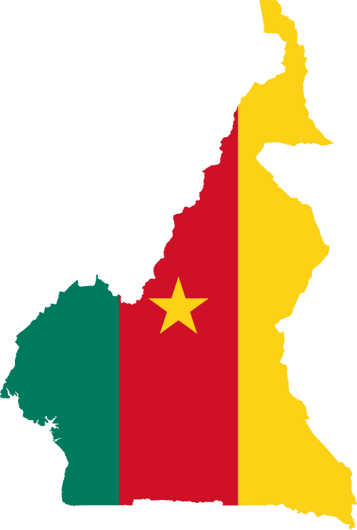 Cameroon Flag